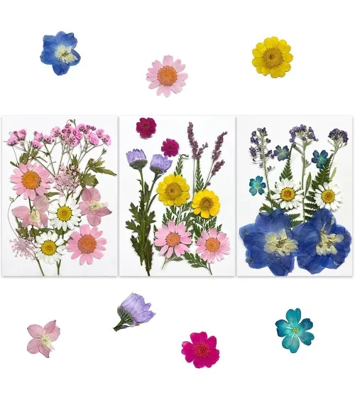 Natürliche Trockenblumen| Nachhaltig Basteln
