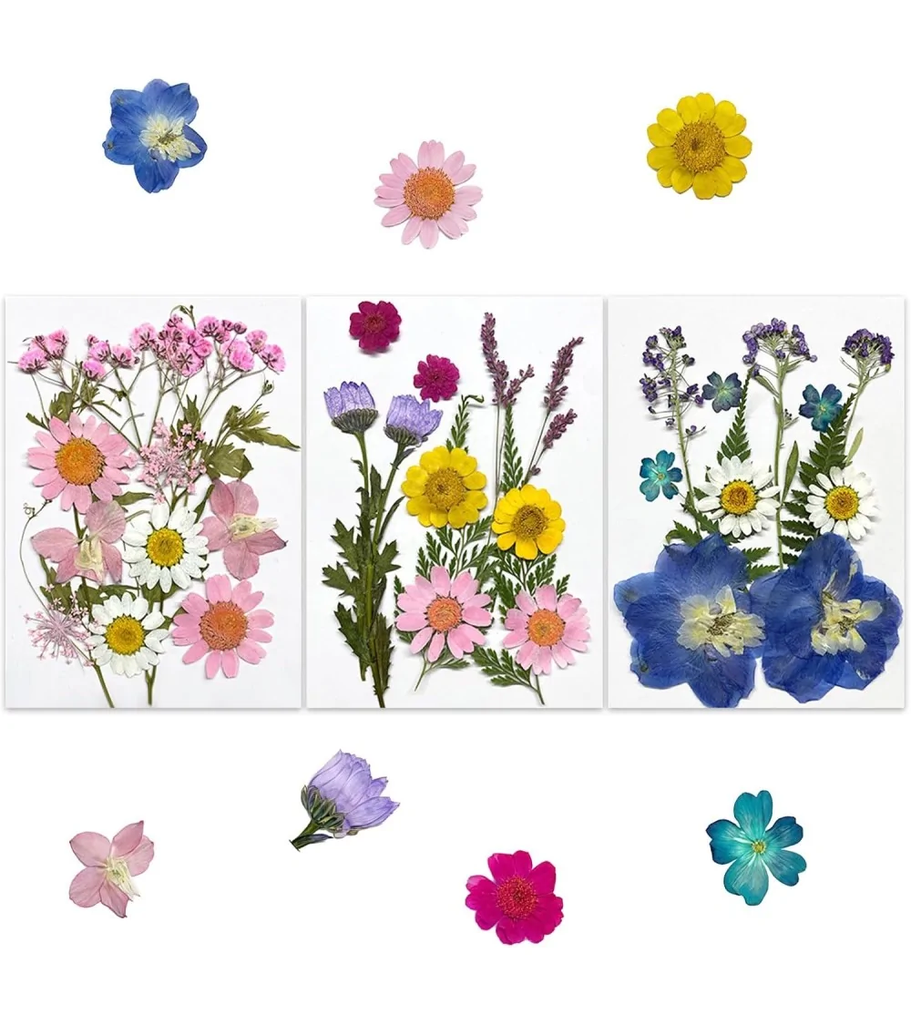Natürliche Trockenblumen| Nachhaltig Basteln