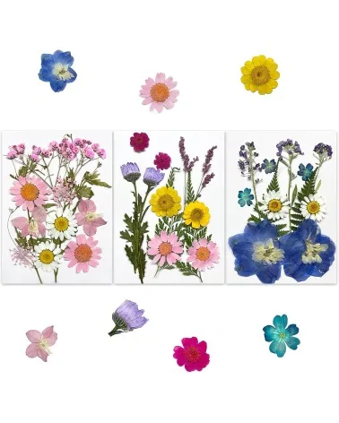 Natürliche Trockenblumen| Nachhaltig Basteln