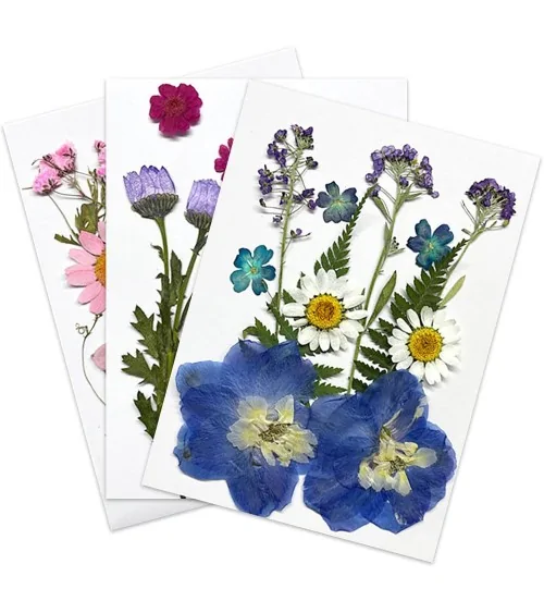 Natürliche Trockenblumen| Nachhaltig Basteln