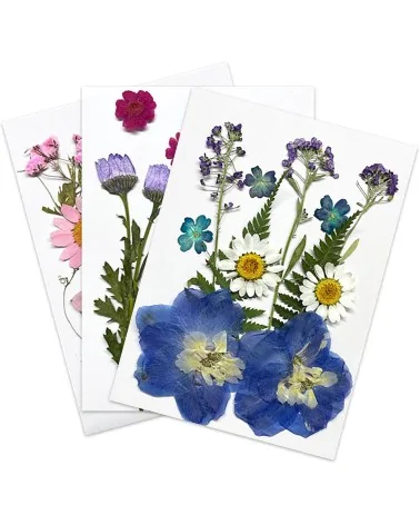 Natürliche Trockenblumen| Nachhaltig Basteln