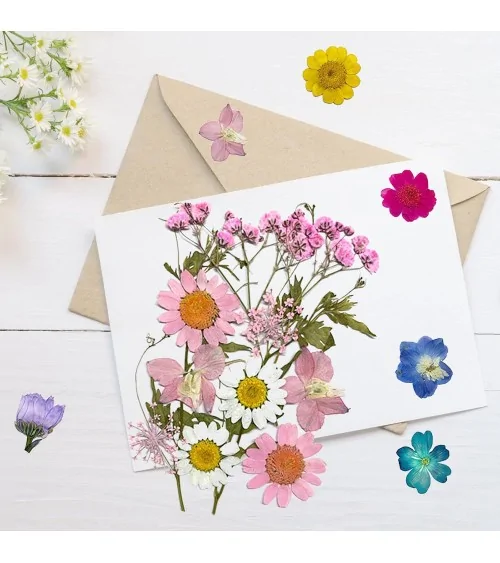 Natürliche Trockenblumen| Nachhaltig Basteln