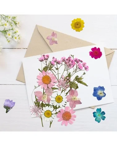 Natürliche Trockenblumen| Nachhaltig Basteln