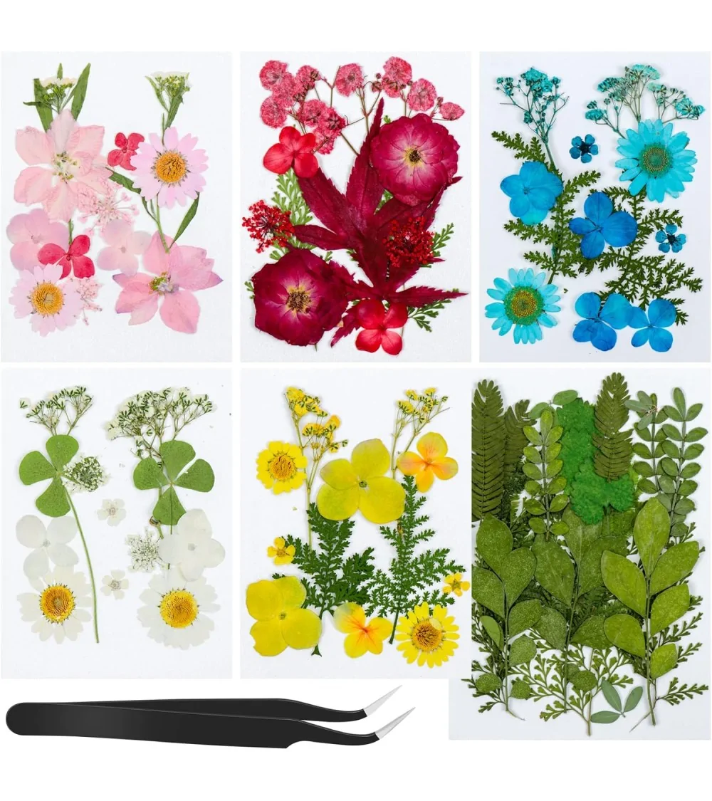 Natürliche Trockenblumen| Nachhaltig Basteln