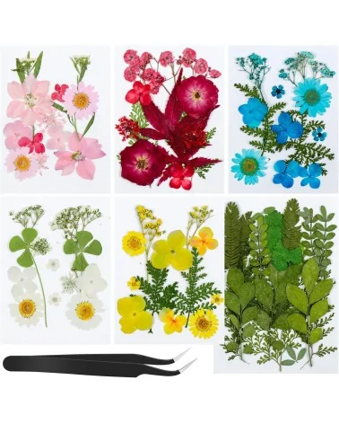 Natürliche Trockenblumen| Nachhaltig Basteln