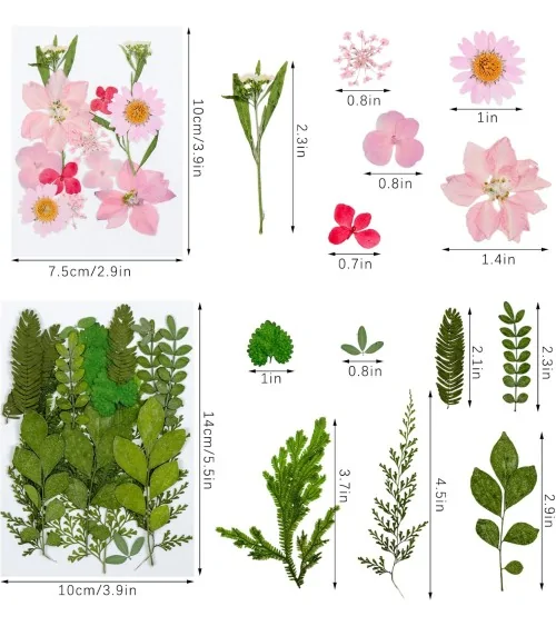 Natürliche Trockenblumen| Nachhaltig Basteln