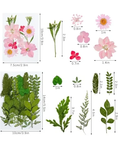 Natürliche Trockenblumen| Nachhaltig Basteln