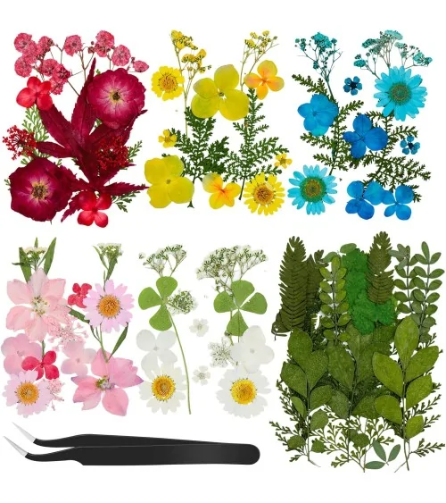 Natürliche Trockenblumen| Nachhaltig Basteln