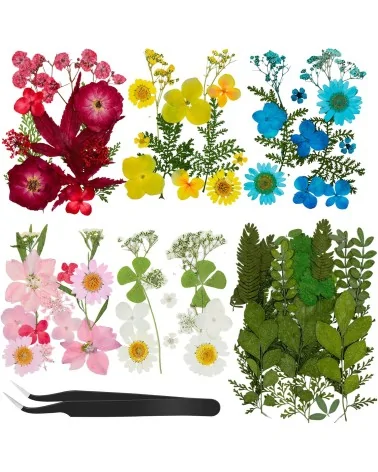 Natürliche Trockenblumen| Nachhaltig Basteln