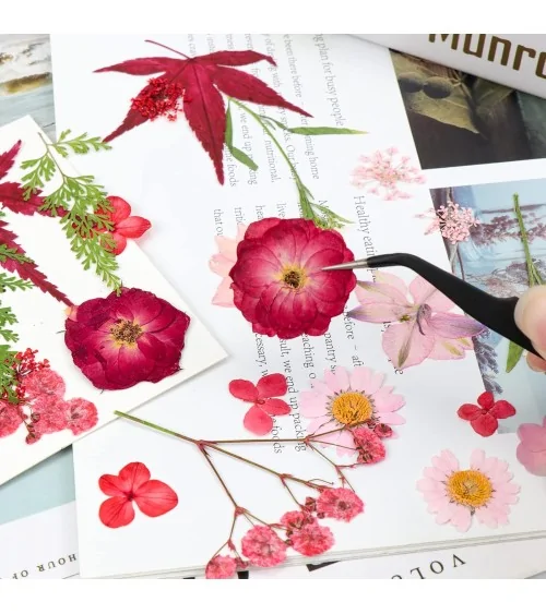 Natürliche Trockenblumen| Nachhaltig Basteln