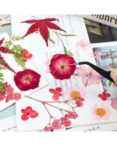 Natürliche Trockenblumen| Nachhaltig Basteln