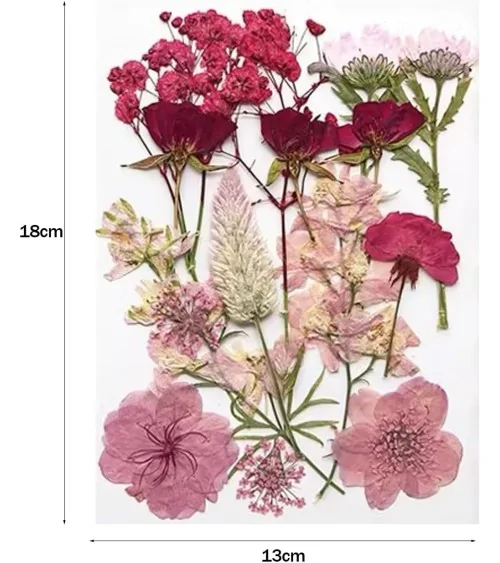 Natürliche Trockenblumen| Nachhaltig Basteln