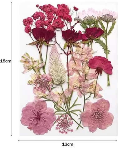 Natürliche Trockenblumen| Nachhaltig Basteln