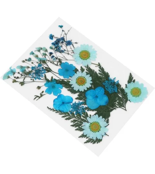 Natürliche Trockenblumen| Nachhaltig Basteln