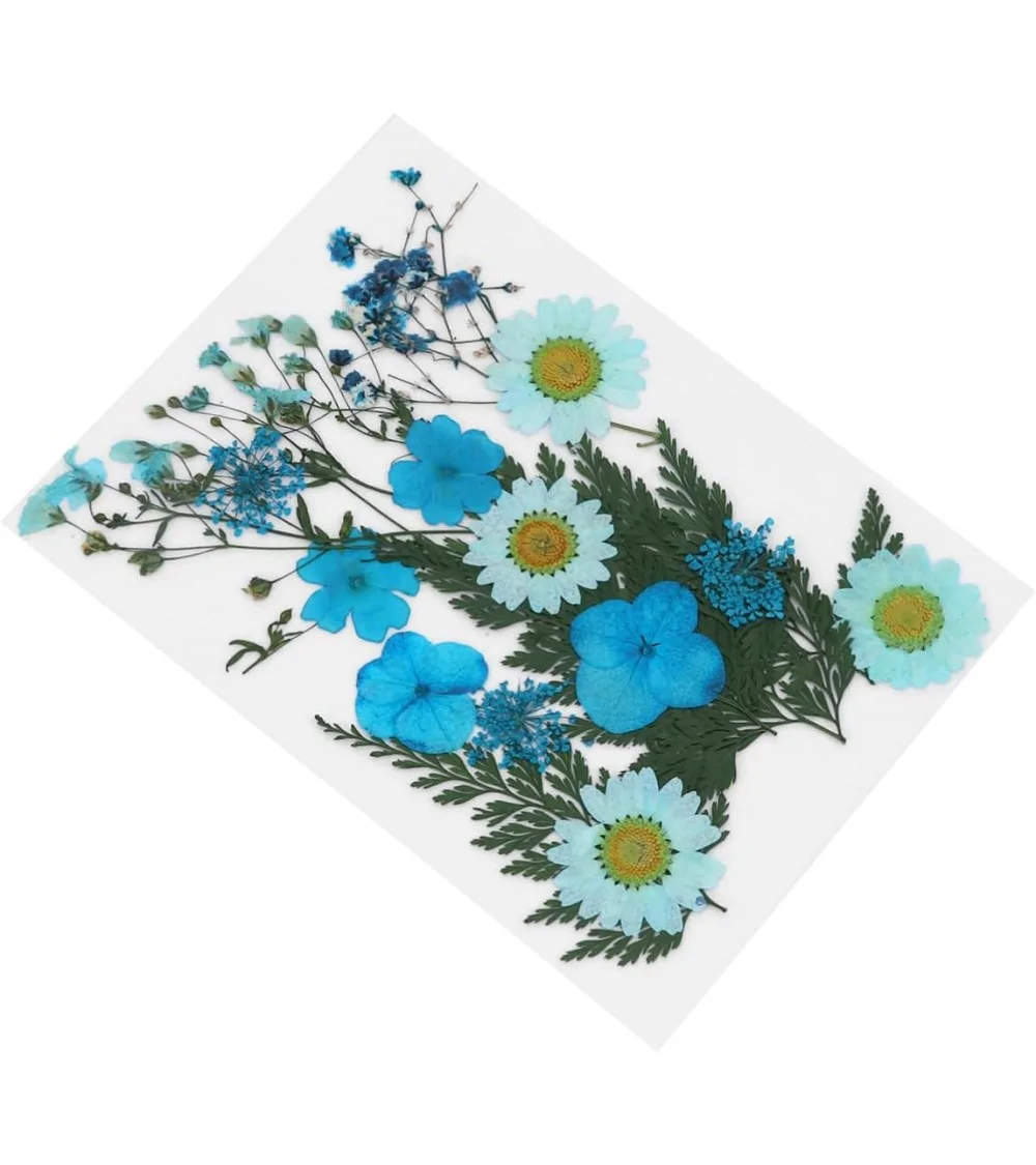 Natürliche Trockenblumen| Nachhaltig Basteln