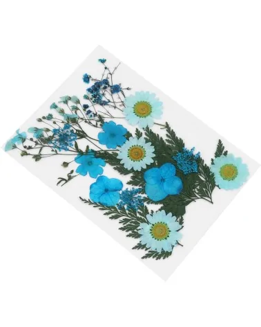 Natürliche Trockenblumen| Nachhaltig Basteln