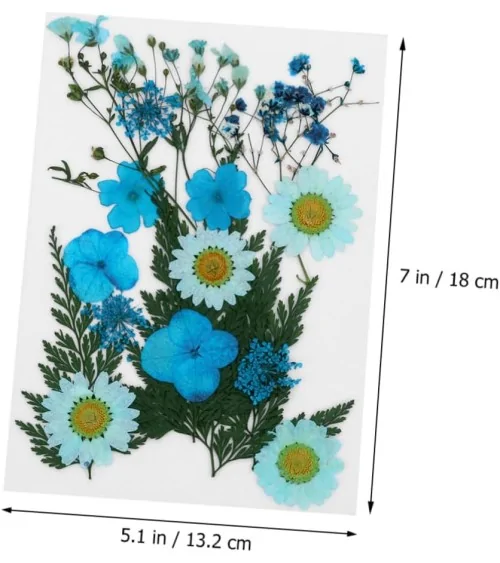 Natürliche Trockenblumen| Nachhaltig Basteln