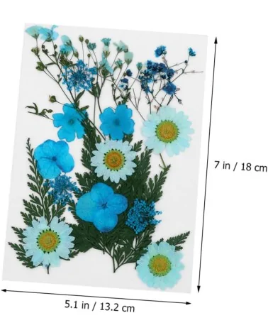 Natürliche Trockenblumen| Nachhaltig Basteln