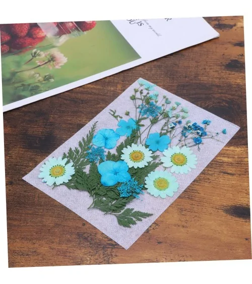 Natürliche Trockenblumen| Nachhaltig Basteln