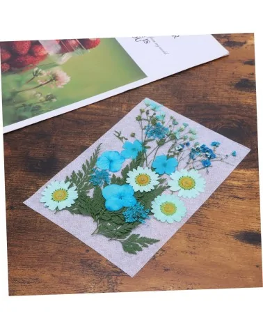 Natürliche Trockenblumen| Nachhaltig Basteln