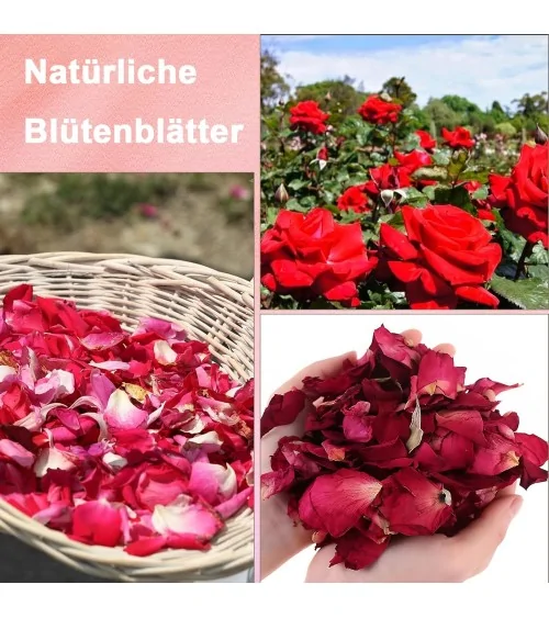Natürliche Trockenblumen| Perfekt zum Basteln