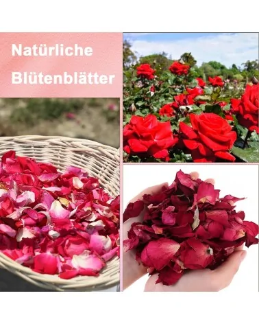 Natürliche Trockenblumen| Perfekt zum Basteln
