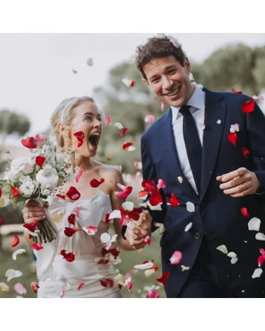 Natürliche Trockenblumen| Perfekt zum Basteln