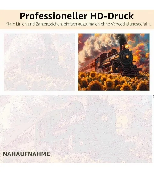Malen Nach Zahlen 40x50cm | Dampflokomotive
