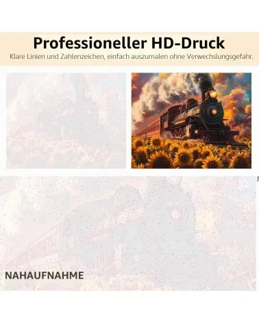 Malen Nach Zahlen 40x50cm | Dampflokomotive