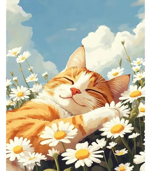 Malen Nach Zahlen 40x50cm | Süsse Katze