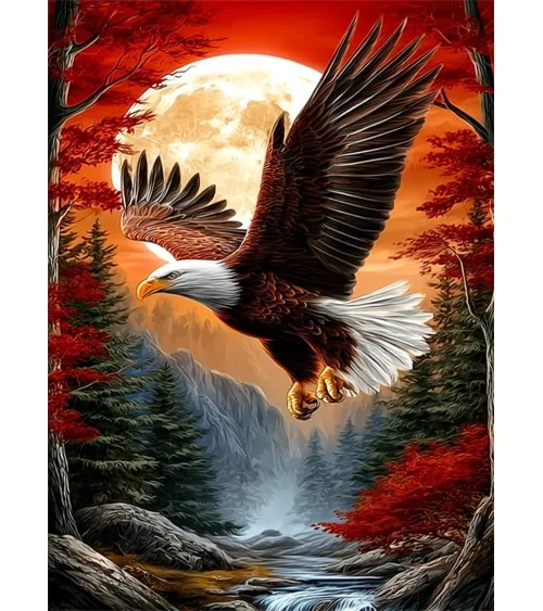Malen Nach Zahlen 40x50cm | Adler