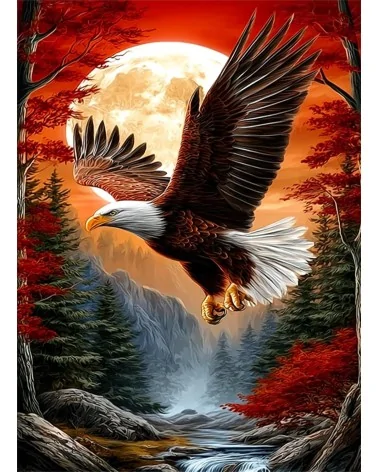Malen Nach Zahlen 40x50cm | Adler