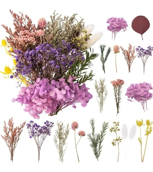 Natürliche Trockenblumen| Nachhaltig Basteln