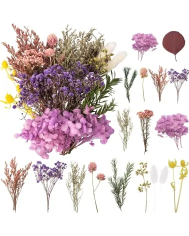 Natürliche Trockenblumen| Nachhaltig Basteln