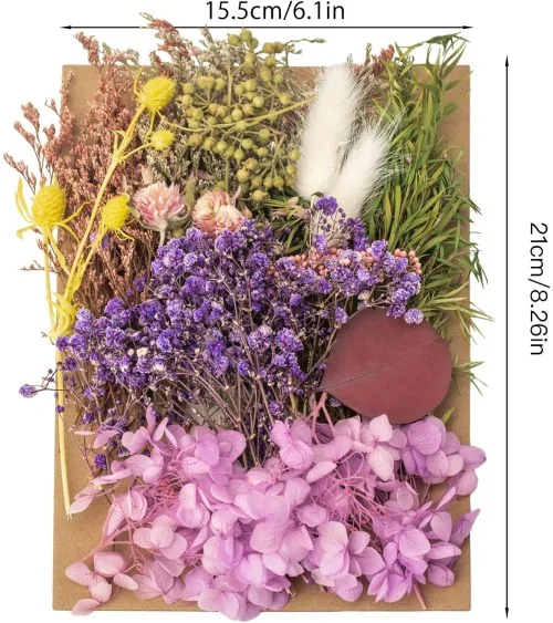 Natürliche Trockenblumen| Nachhaltig Basteln