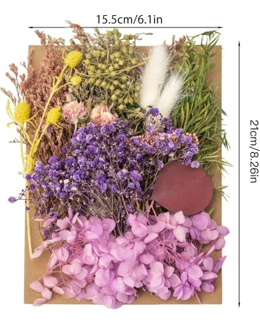 Fleurs séchées naturelles | Bricolage durable