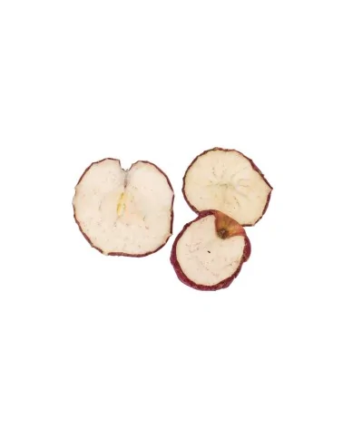Glorex : tranches de pomme 60 mm | 50 g