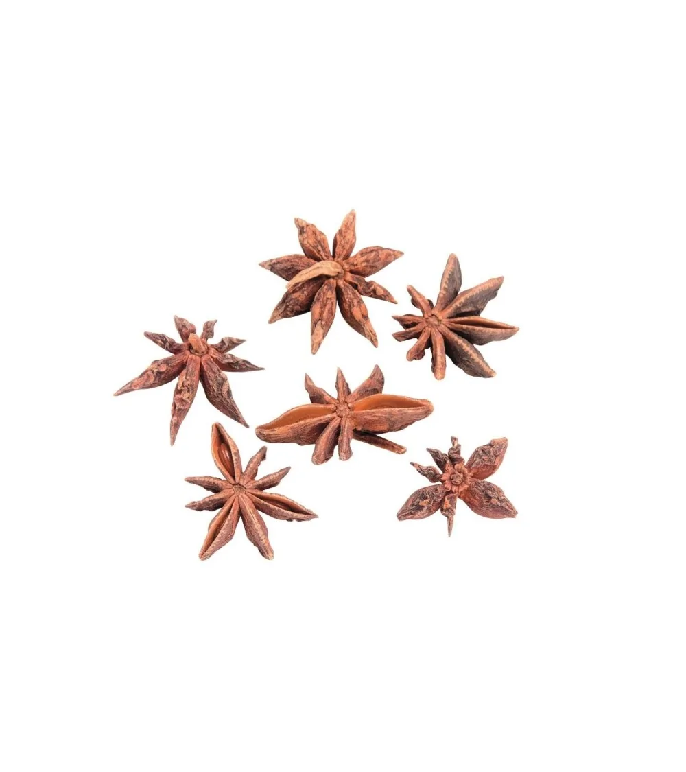 Glorex Anis étoilé nature | 50 g