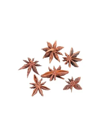 Glorex Sternanis natur | 50g